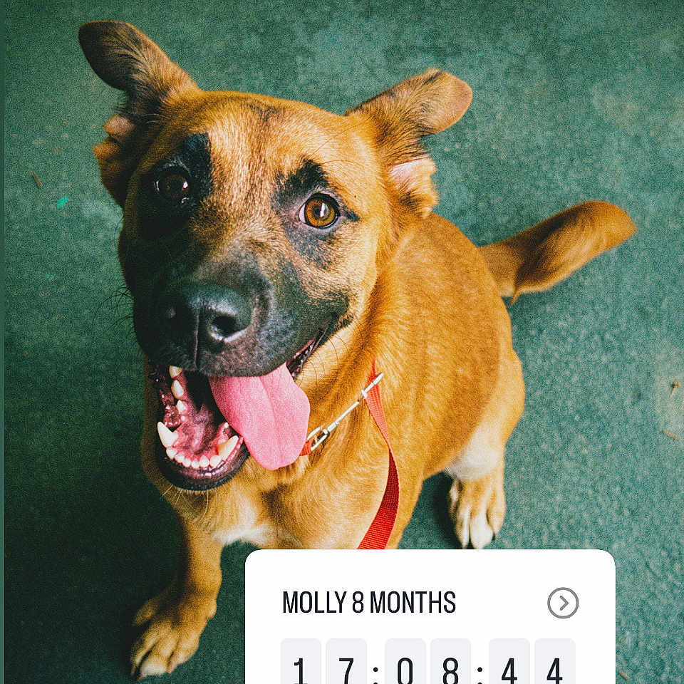 Molly