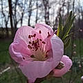 Cheryl B.