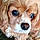 Louna
