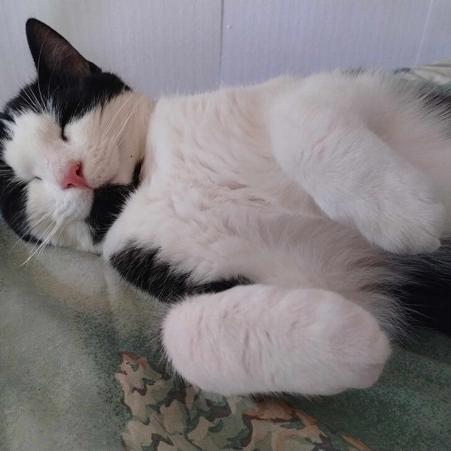Pepper