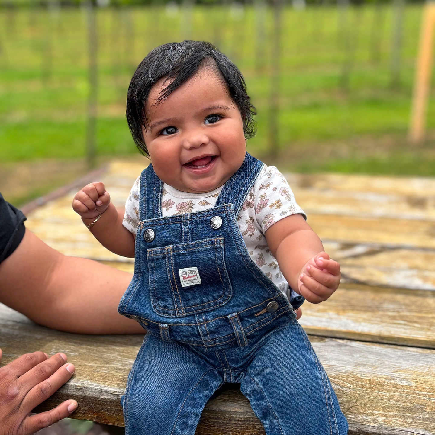 Amora joined the competition — help win amazing prizes! baby, casual_clothing, child, cute, denim_overalls, greenery, hand, happy, jeans, nature, outdoor, person, picnic_table, portrait, short_sleeve_shirt, sitting, skin, smile, vineyard, wood