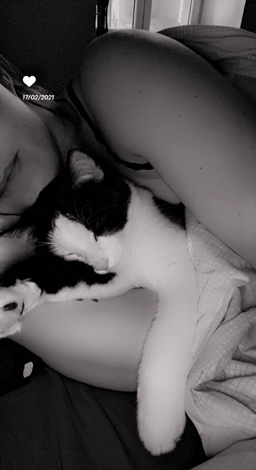 Qwerty a rejoint le concours — aidez-le/la à gagner de superbes lots ! black_and_white, carnivore, cat, comfort, elbow, eyebrow, eyelash, felidae, finger, flash_photography, gesture, hand, jaw, joint, mammal, mouth, muscle, neck, shoulder, style