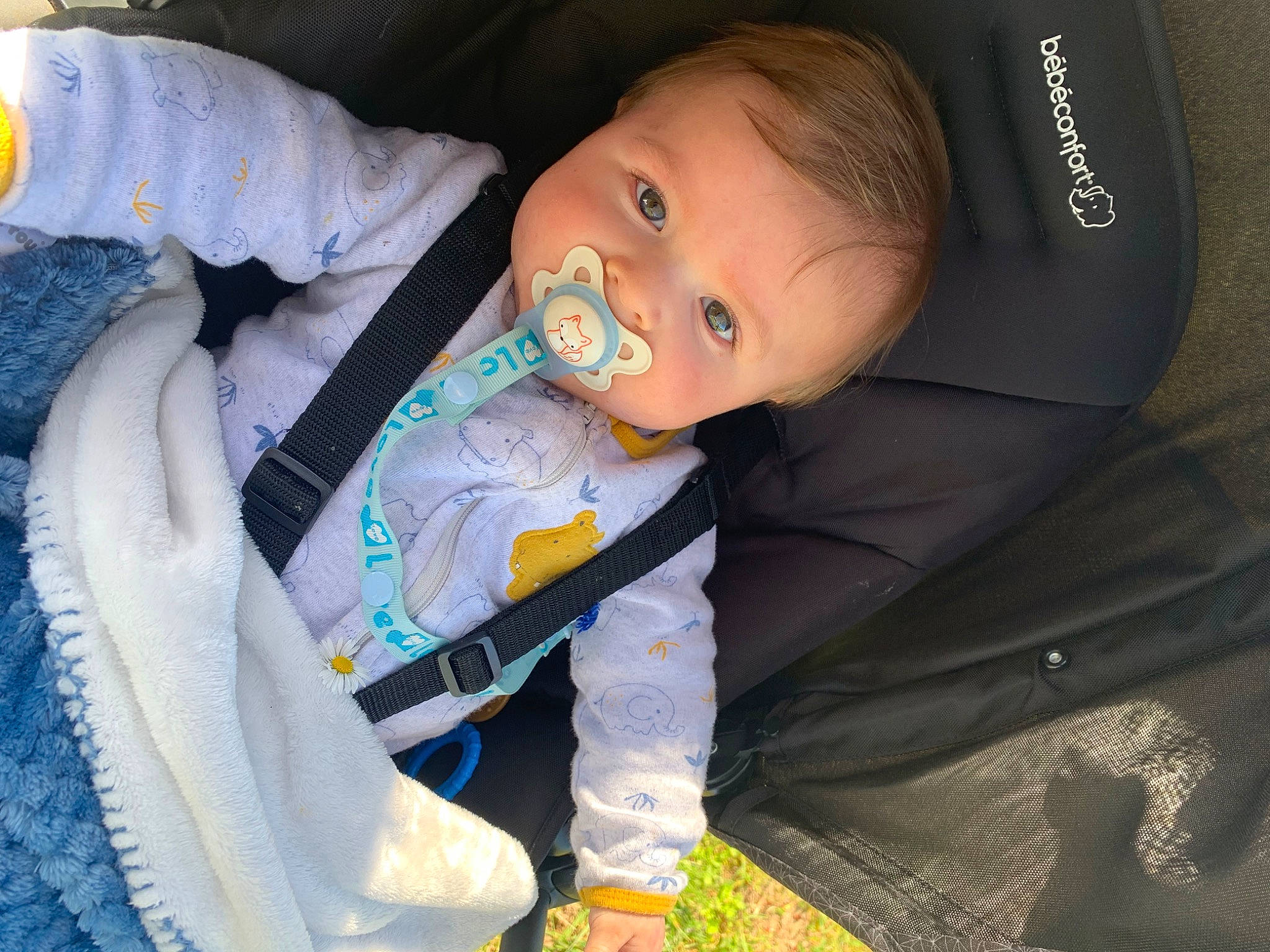 Siloé participe au concours pour gagner de l'argent avec cette photo : auto_part, baby, baby_carriage, baby_products, baby_toddler_clothing, car_seat, chair, cheek, child, comfort, finger, fun, lap, person, plant, sitting, skin, toddler, yellow