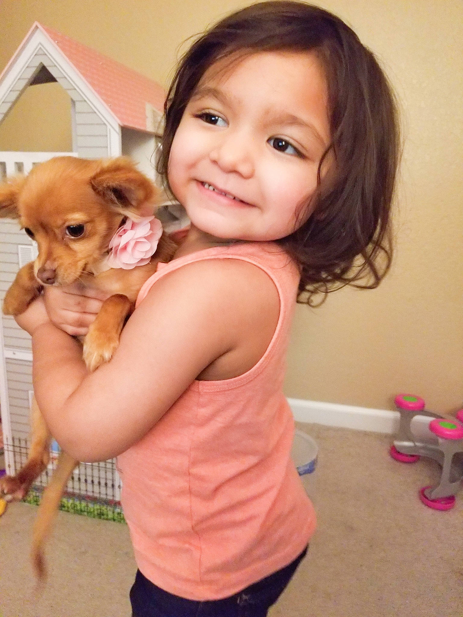 Joy joined the competition — help win amazing prizes! canidae, carnivore, chihuahua, child, companion_dog, dog, dog_breed, ear, fawn, joy, person, puppy, puppy_love, skin, smile, sporting_group