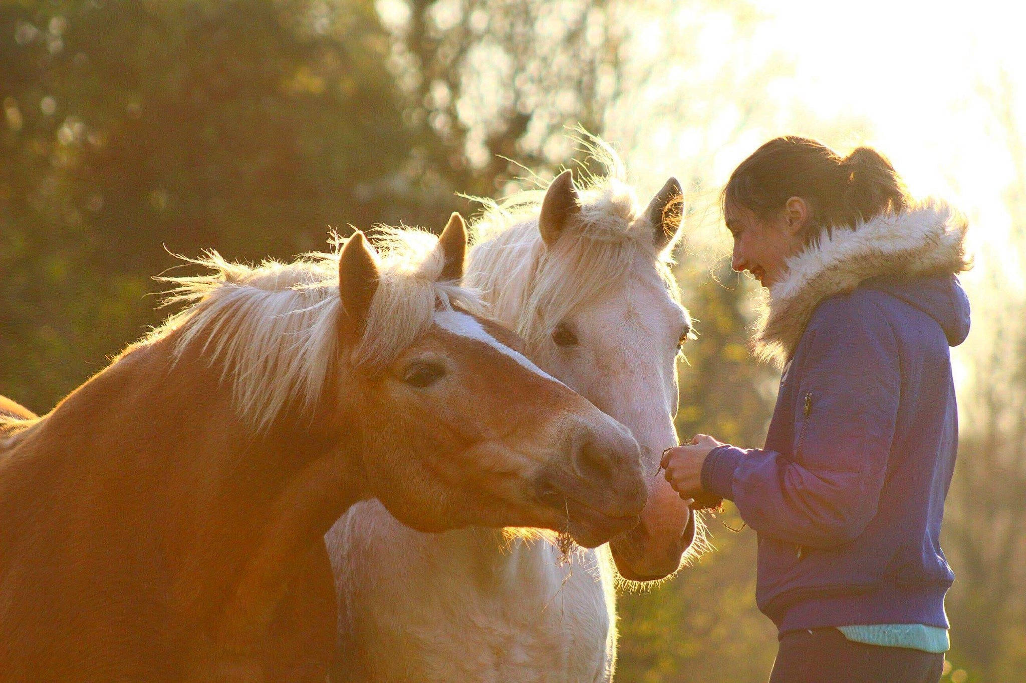 Isa participe au concours pour gagner de l'argent avec cette photo : friendship, fun, happy, horse, interaction, light, livestock, love, mammal, mane, mare, mustang_horse, nose, organism, photography, sky, snout, stallion, sunlight, vertebrate
