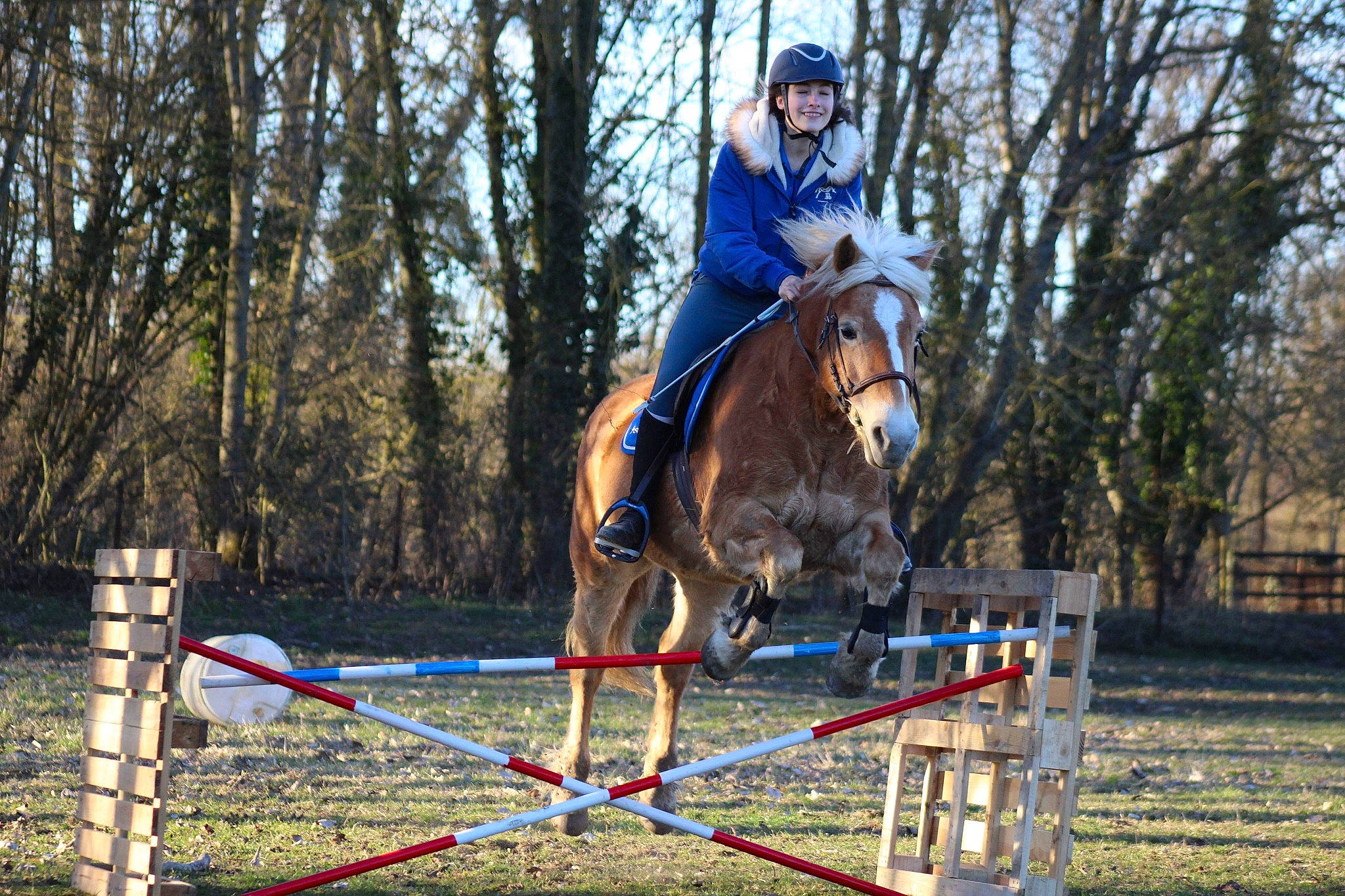Isa participe au concours pour gagner de l'argent avec cette photo : animal_sports, bridle, english_riding, equestrian, equestrianism, equitation, eventing, halter, horse, horse_supplies, horse_tack, jumping, mammal, outdoor_recreation, rein, saddle, show_jumping, sports, vertebrate