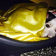 Nuty joined the competition — help win amazing prizes!