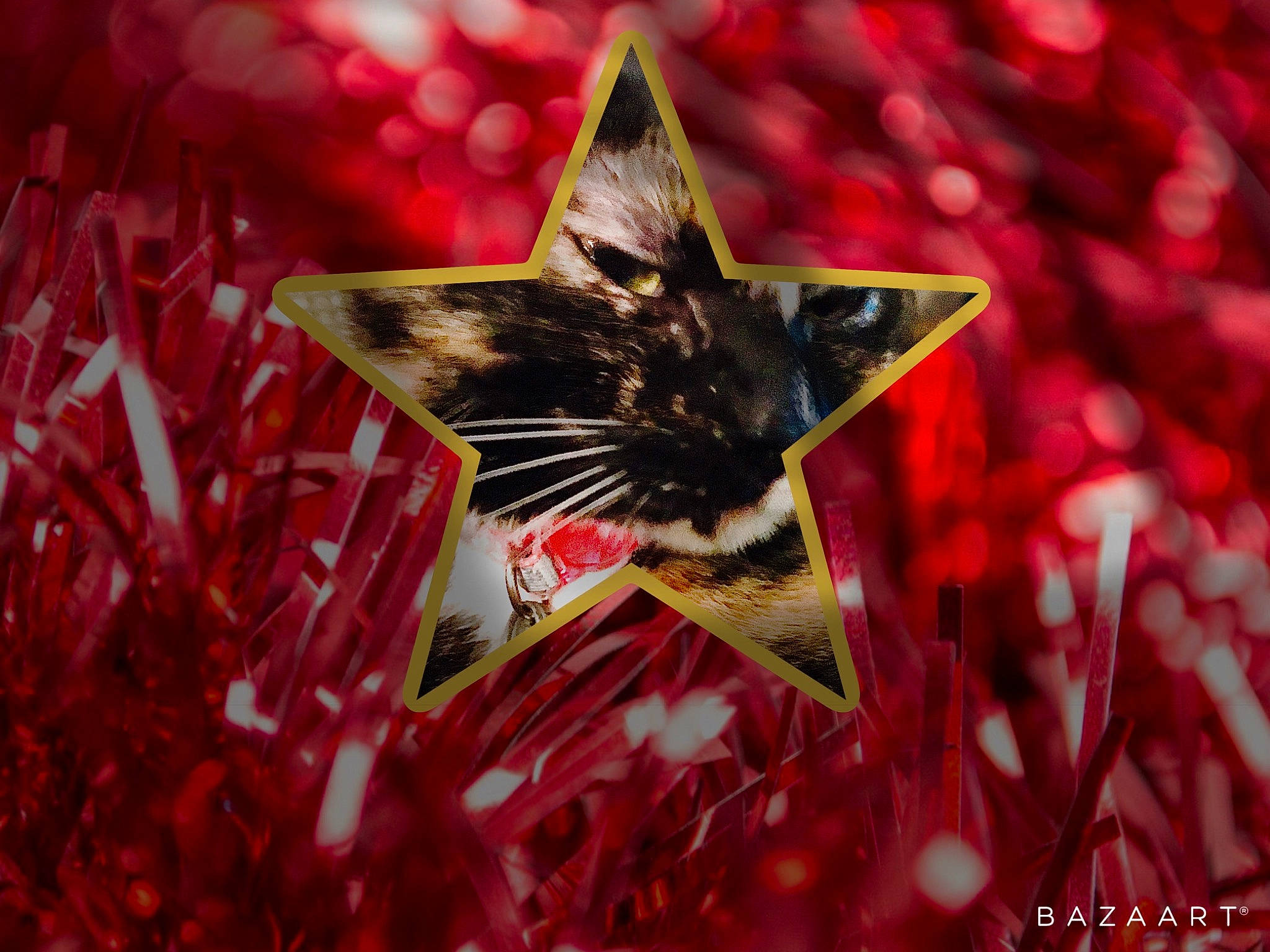 La Roux is registered to the contest to win money with this photo: art, carnivore, cat, christmas_decoration, christmas_ornament, close_up, domestic_short_haired_cat, event, fawn, felidae, grass, organism, ornament, plant, small_to_medium_sized_cats, snout, tree, triangle, whiskers, wildlife
