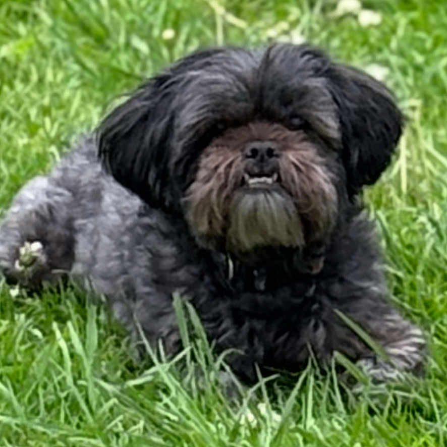 Baxter