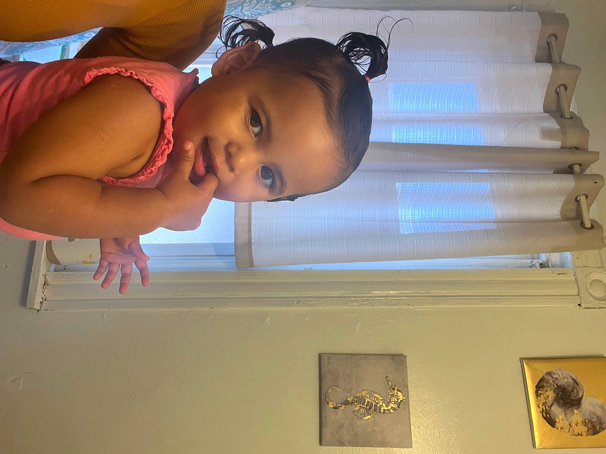 Guviannie Leeanet is registered to the contest to win money with this photo: abdomen, baby, baby_toddler_clothing, ceiling, chest, child, elbow, fun, happy, nose, person, room, smile, toddler, window, wood