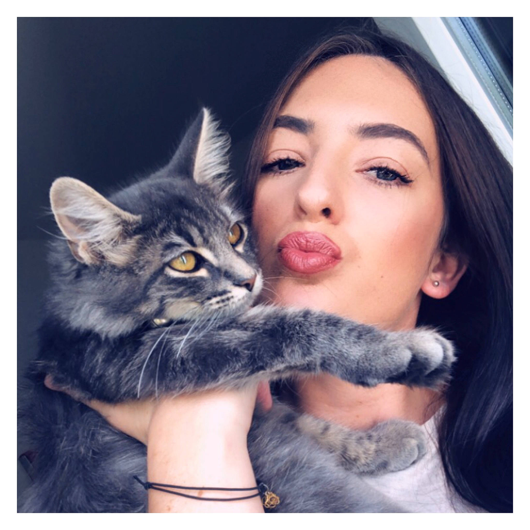 Kayna a rejoint le concours — aidez-le/la à gagner de superbes lots ! beauty, carnivore, cat, domestic_short_haired_cat, ear, european_shorthair, felidae, fur, gesture, hug, kitten, love, nose, photography, selfie, small_to_medium_sized_cats, smile, snout, tabby_cat, whiskers