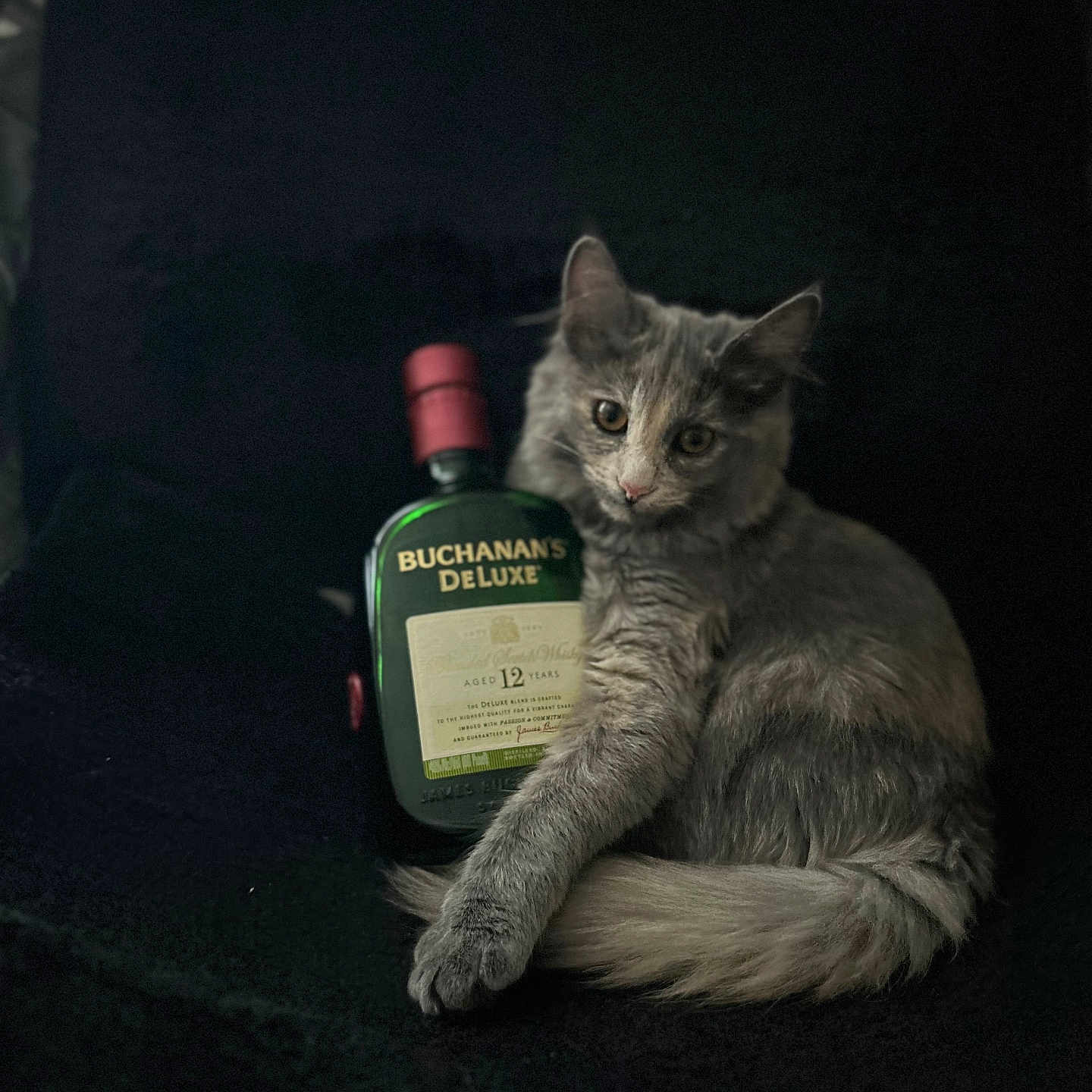 Niña