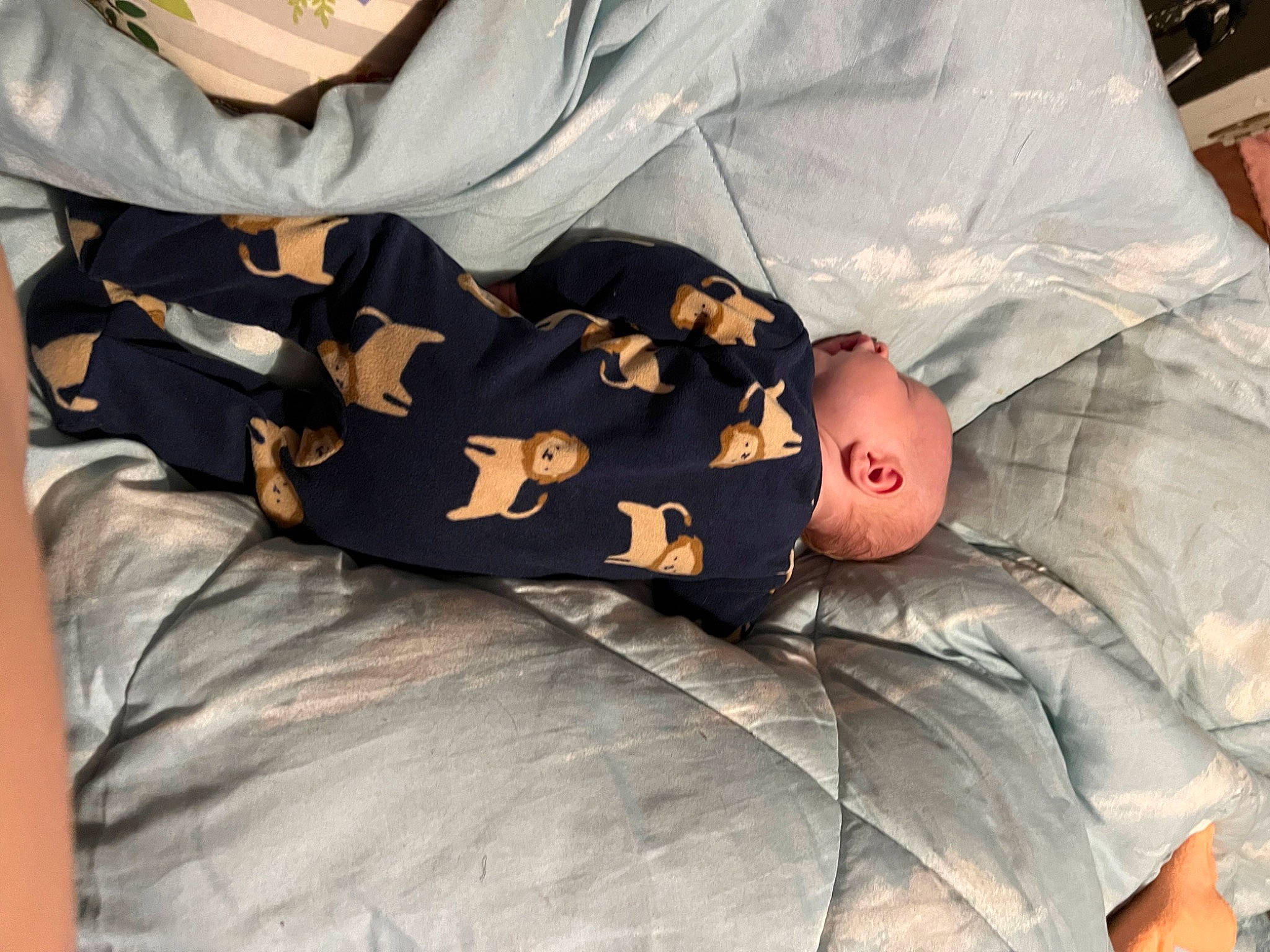 Kolten joined the competition — help win amazing prizes! baby, baby_products, baby_sleeping, baby_toddler_clothing, child, comfort, couch, human_body, linens, nap, pattern, person, sitting, sleep, sleeve, t_shirt, toddler, tree