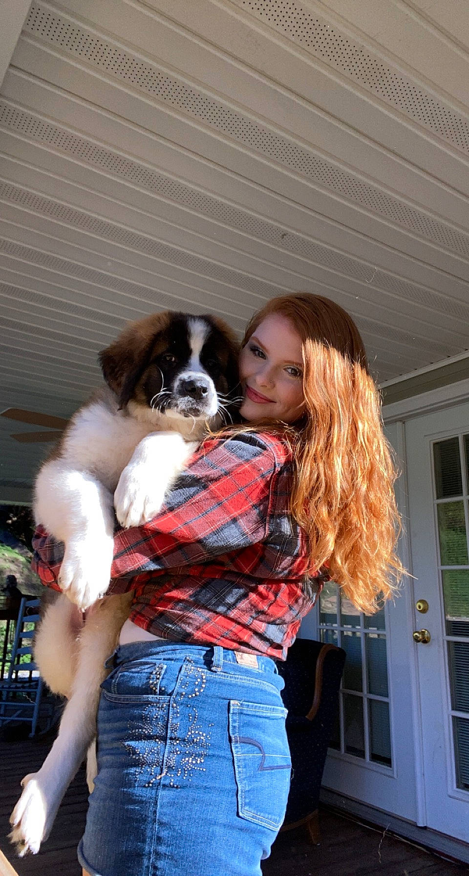 Titus is registered to the contest to win money with this photo: belt, canidae, carnivore, companion_dog, denim, dog, dog_breed, door, fawn, fun, fur, hairstyle, interaction, pattern, plaid, sporting_group, tartan, thigh, toy_dog, window