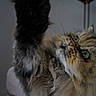 Ipsos et icare participe au concours pour gagner de l'argent avec cette photo :