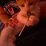 Tito joined the competition — help win amazing prizes! kitten, cat, orange_and_white, lollipop, hand, person, shirt, indoor, dim_lighting, close_up, cute, pet, holding, curious, feline, domestic_animal, claws, nail_polish, casual_clothing, relaxed