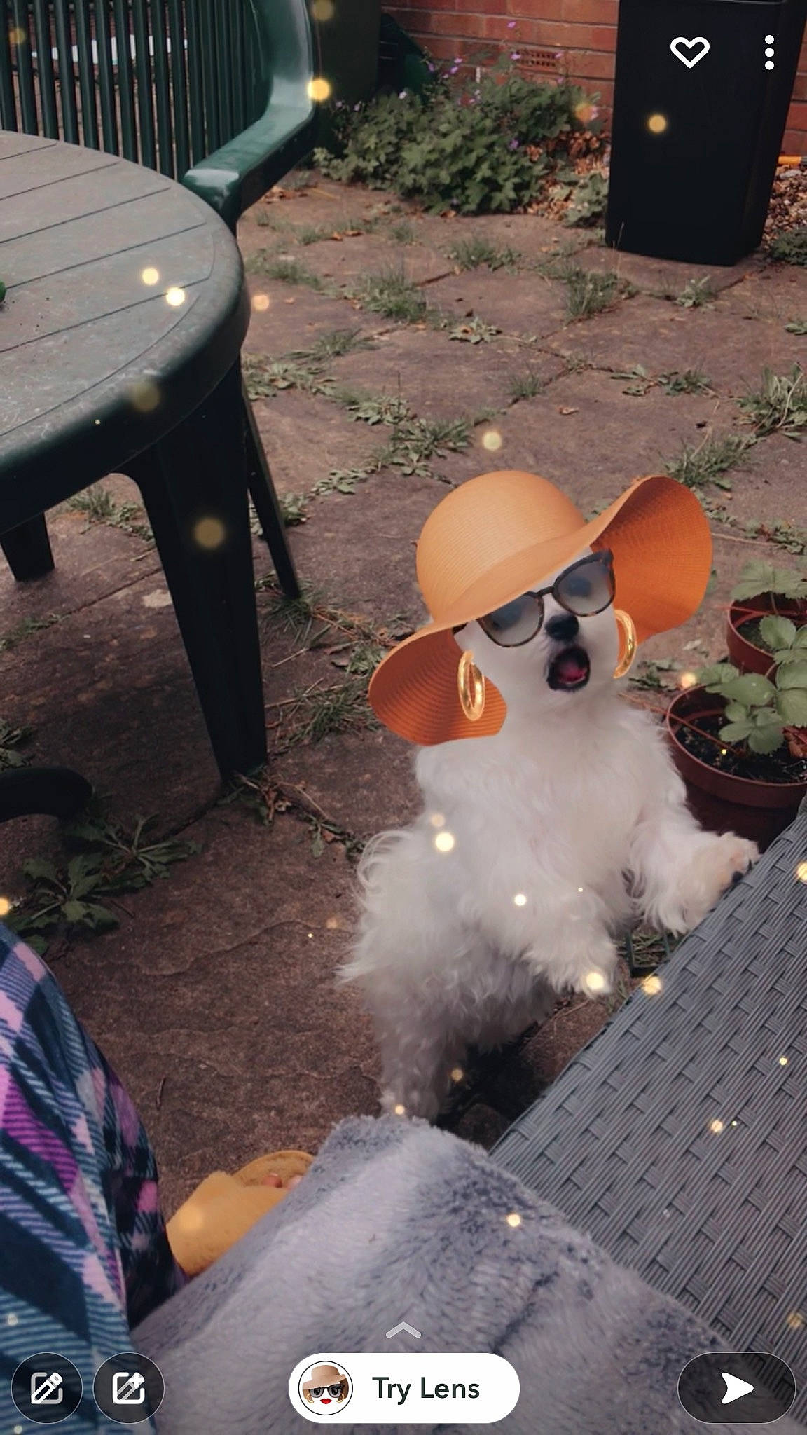 Dolly joined the competition — help win amazing prizes! chair, eyewear, fun, fur, gas, hat, leisure, metal, outdoor_furniture, outdoor_table, sunglasses, table, vision_care, winter, wood