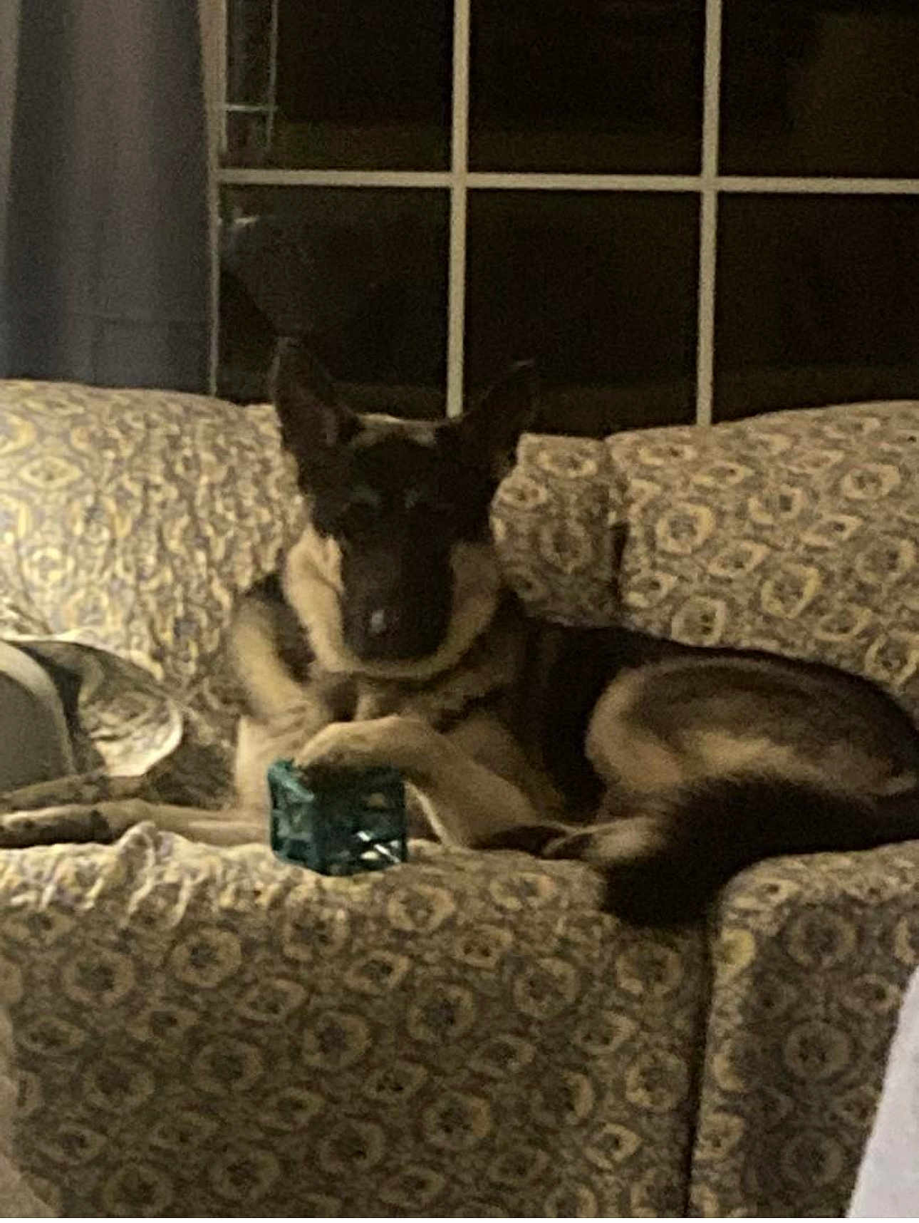 Lord Thor