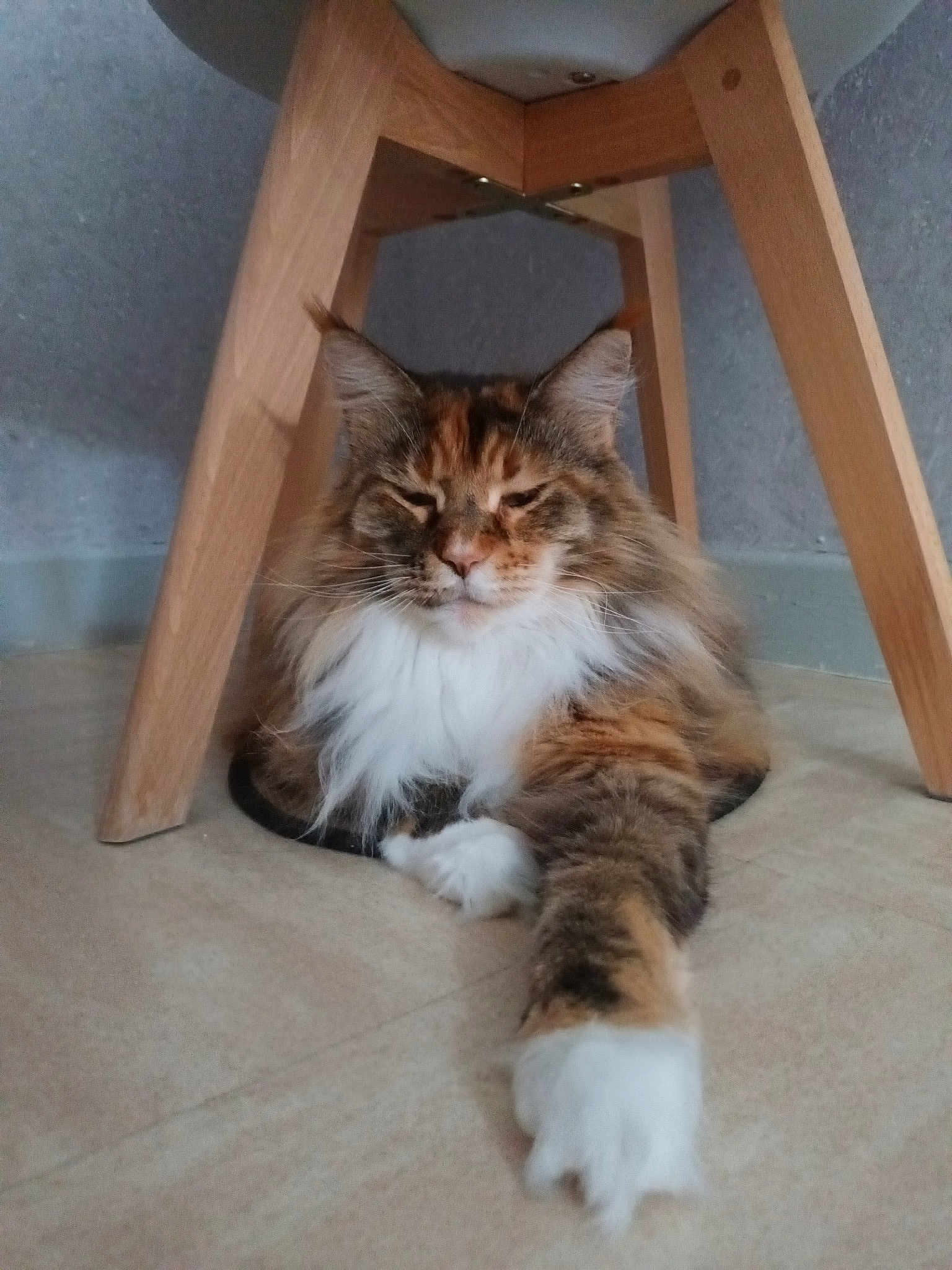 Loona