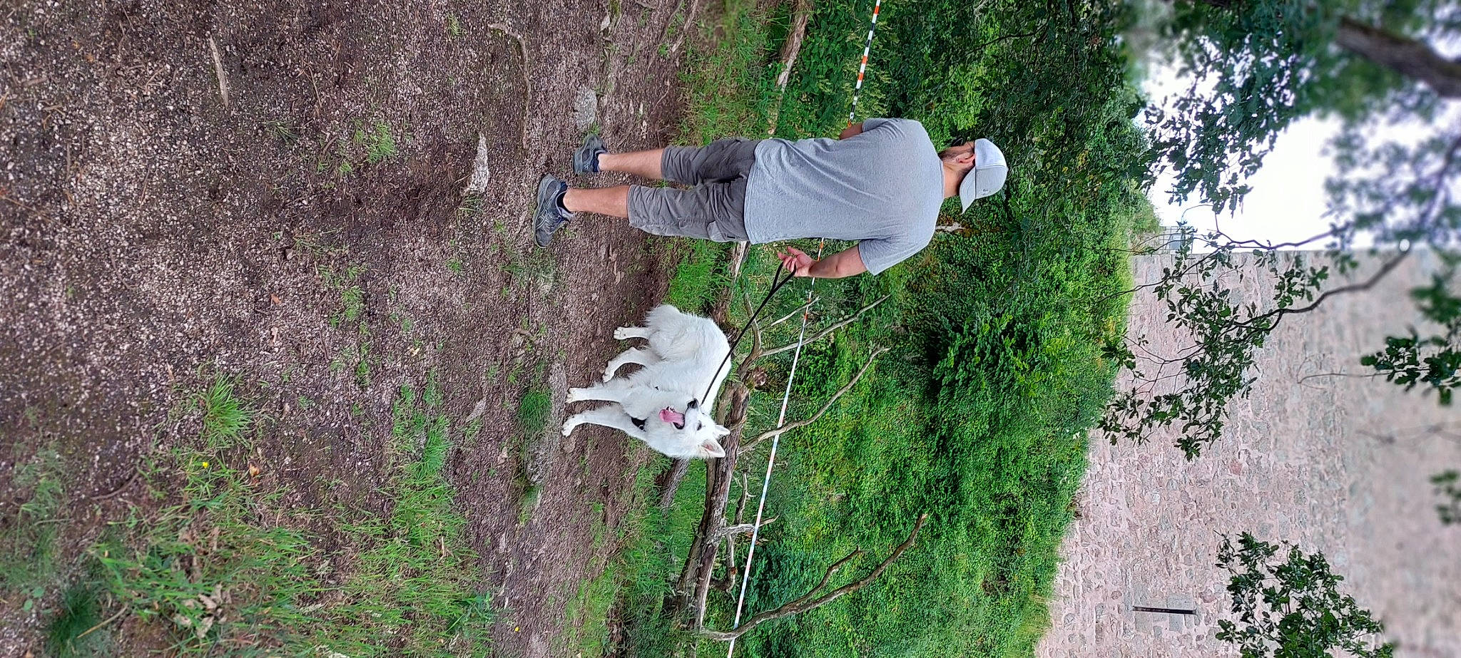 Poutchi participe au concours pour gagner de l'argent avec cette photo : adventure, carnivore, dog, dog_breed, fun, grass, leisure, plant, recreation, shrub, sporting_group, t_shirt, tree