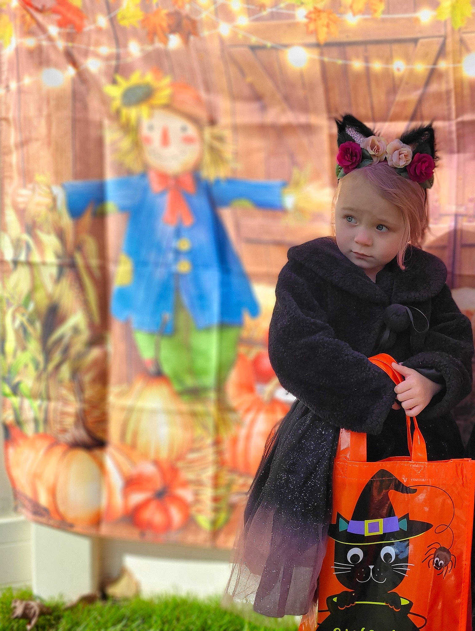 Freyja is registered to the contest to win money with this photo: art, bag, child, costume, entertainment, event, fun, fur, grass, houseplant, leisure, orange, person, plant, recreation, sitting, toddler, toy, tradition, trick_or_treat