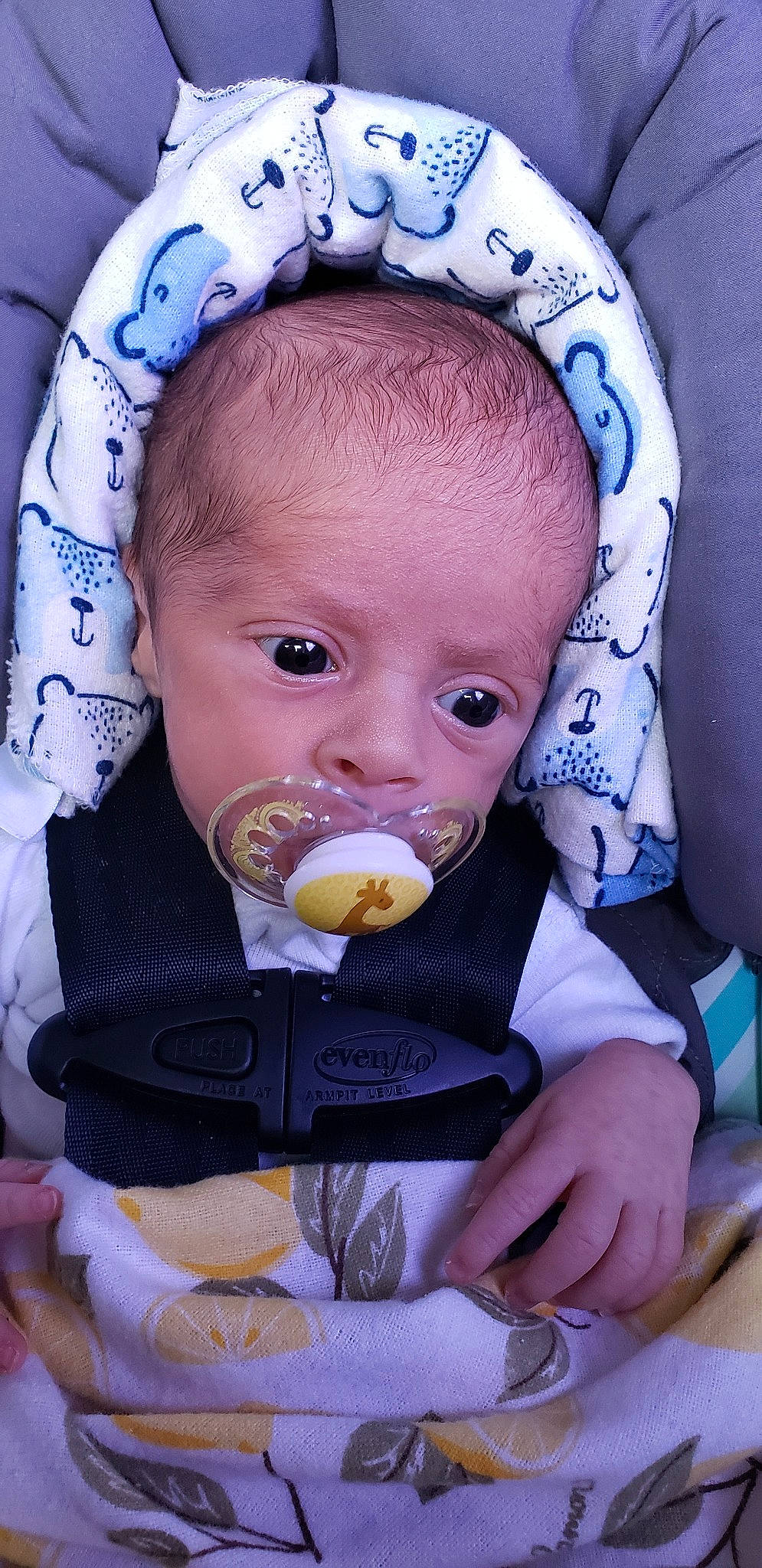 Koda is registered to the contest to win money with this photo: baby, baby_products, cheek, child, face, head, joy, person, product, toddler