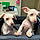 Millie And Mollie