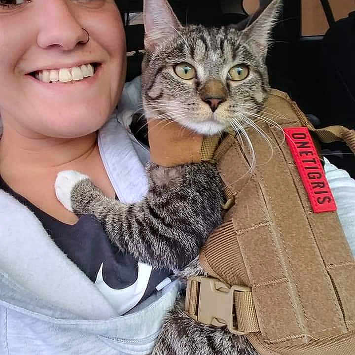 Miss Mittens The Slasher
