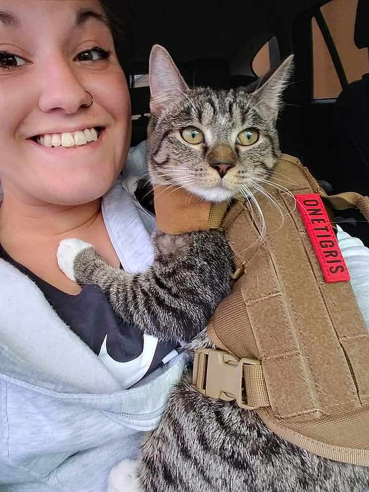 Miss Mittens The Slasher