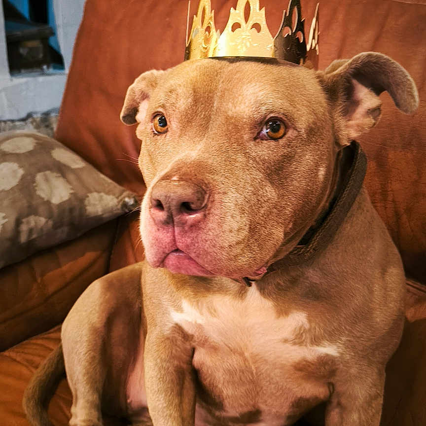 Dana
