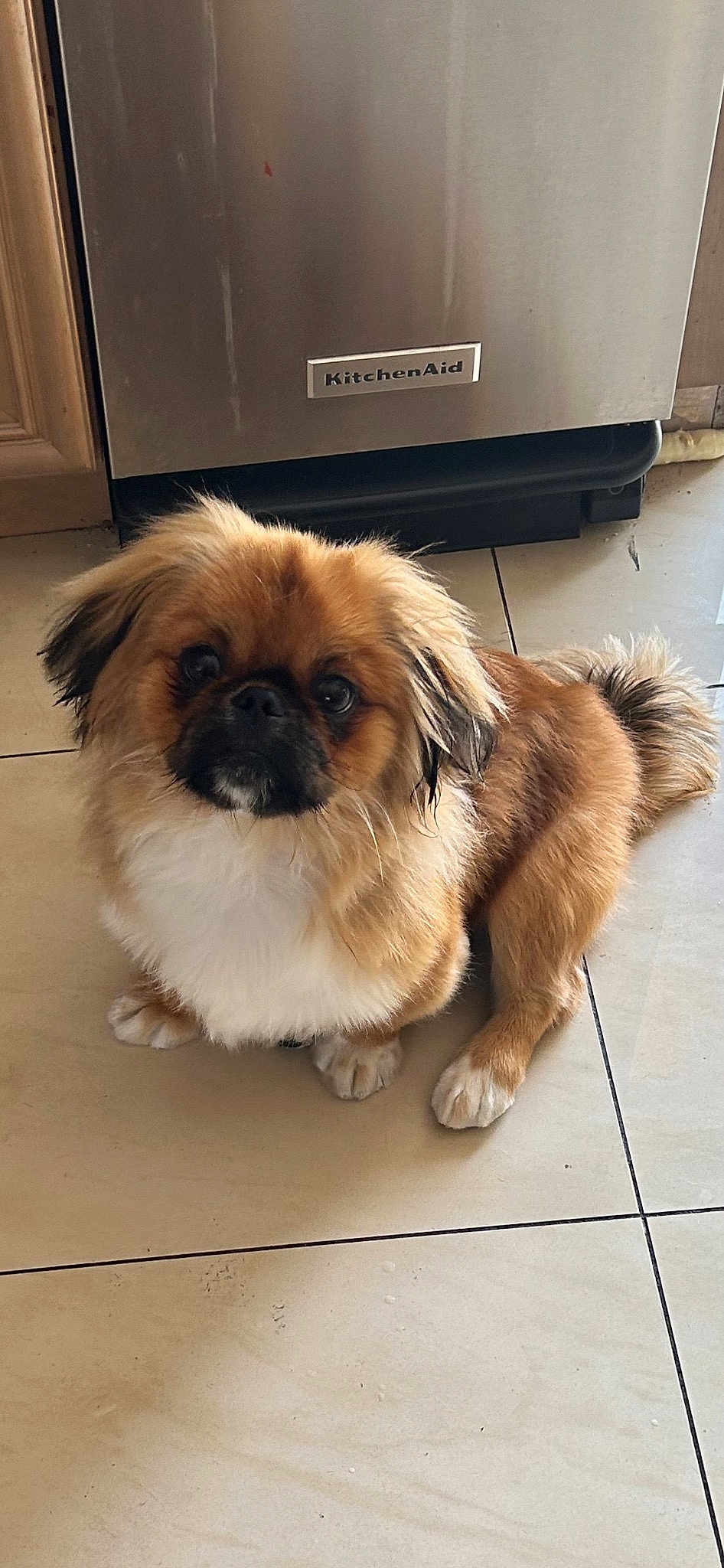 Sebastian