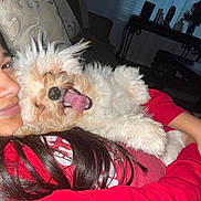 Maggie is registered to the contest to win money with this photo: dog, person, couch, red_clothing, fluffy_dog, indoor, living_room, hugging, tongue_out, happy, pet, smiling, cozy, hair, pillow, window, curtain, table, decor, casual