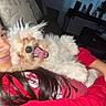 dog, person, couch, red_clothing, fluffy_dog, indoor, living_room, hugging, tongue_out, happy, pet, smiling, cozy, hair, pillow, window, curtain, table, decor, casual