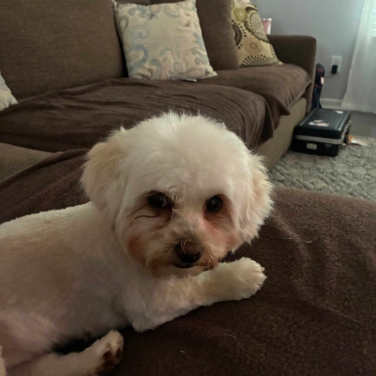 Maggie