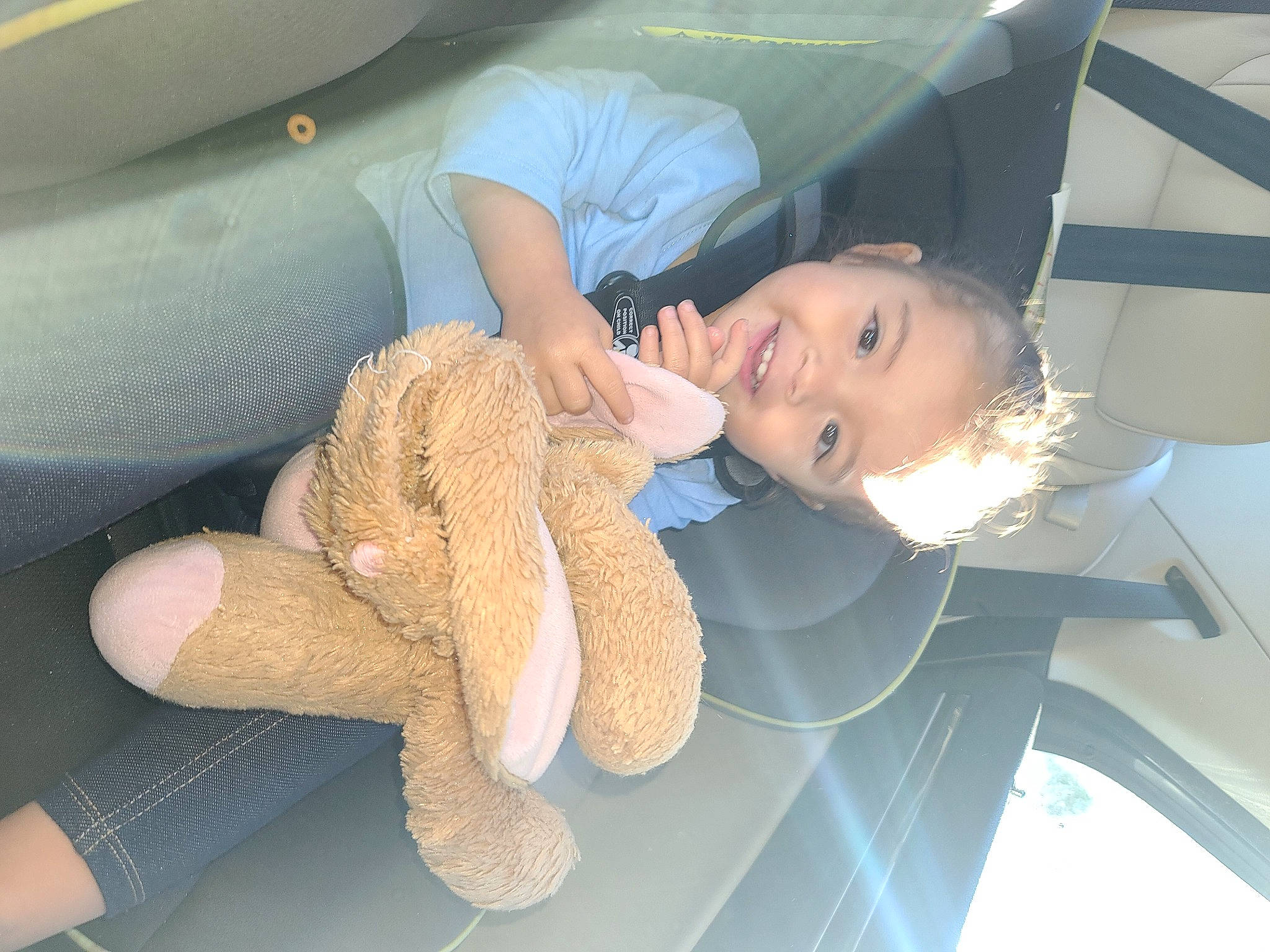 Sadie is registered to the contest to win money with this photo: auto_part, automotive_exterior, car_seat, car_seat_cover, child, comfort, family_car, finger, gesture, happy, person, plant, smile, steering_wheel, stuffed_toy, thumb, toddler, toy, vehicle_door, white