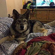 Ryka is registered to the contest to win money with this photo: