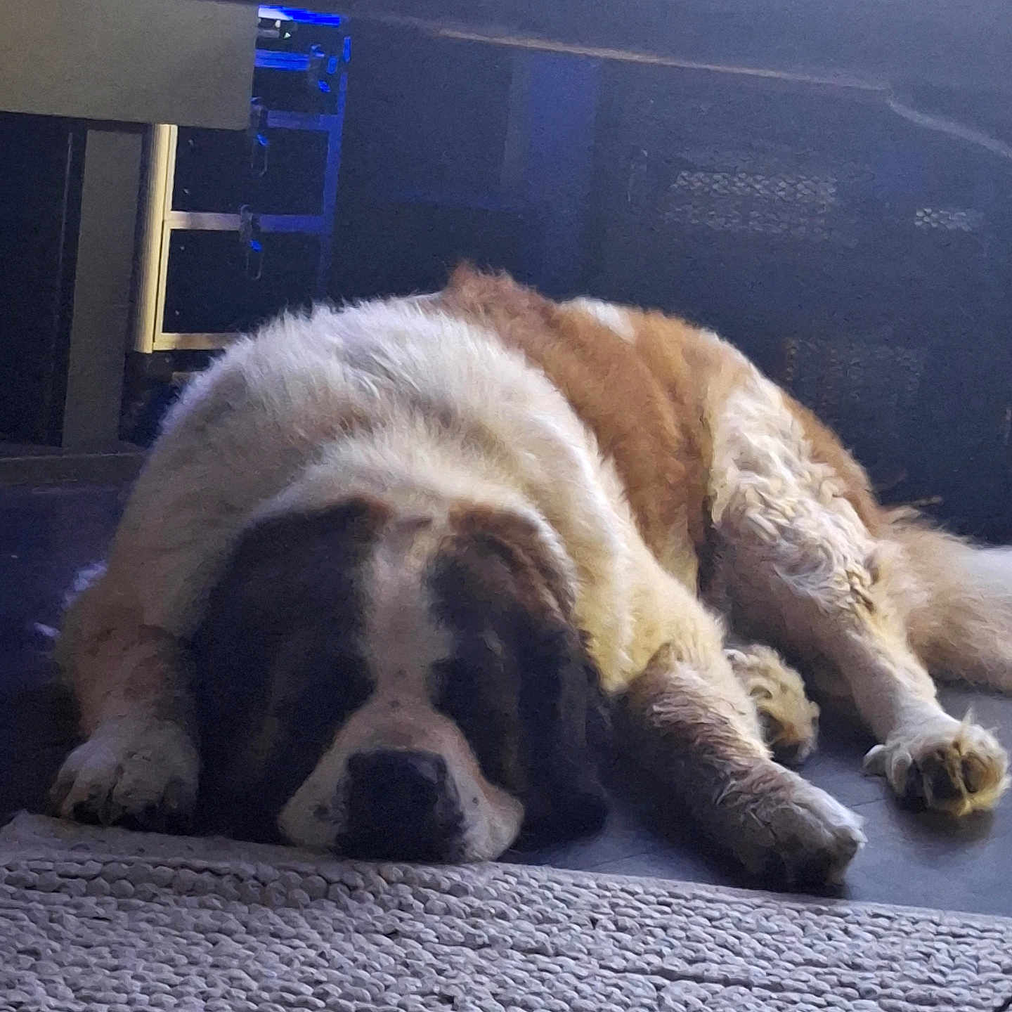Sumo