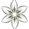 Tara E.