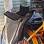 Amy participe au concours pour gagner de l'argent avec cette photo : animal, backpack, bag, bicycle, black_cat, cat, curious, domestic_animal, feline, handlebar, hiding, indoor, kitten, pet, seat, shadow, storage, transportation, wheel, zipper