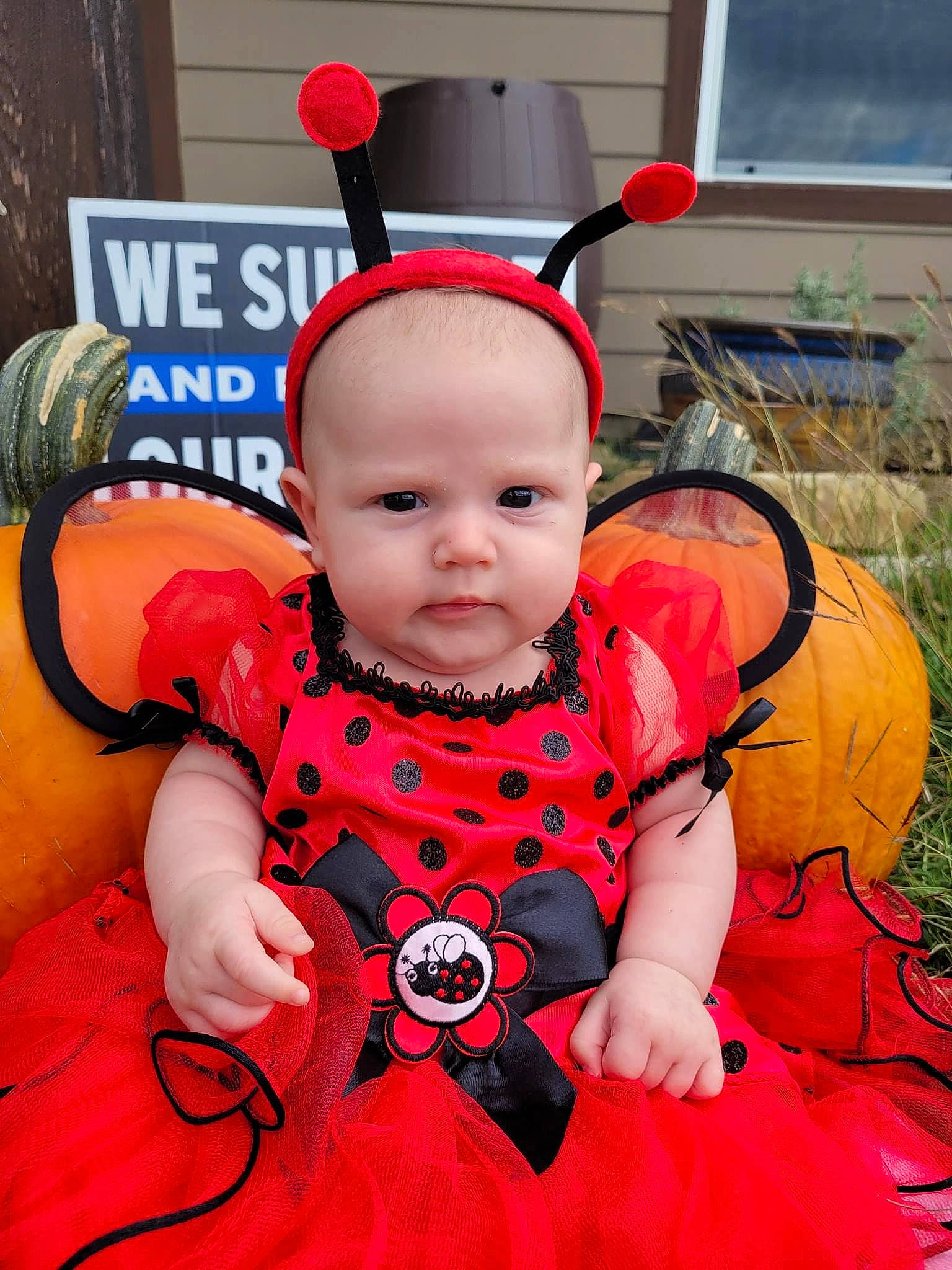 Ella-mae is registered to the contest to win money with this photo: baby, baby_toddler_clothing, carmine, child, costume, costume_hat, event, eye, fashion_accessory, fun, happy, jewellery, magenta, orange, pattern, person, pink, plant, sleeve, toddler