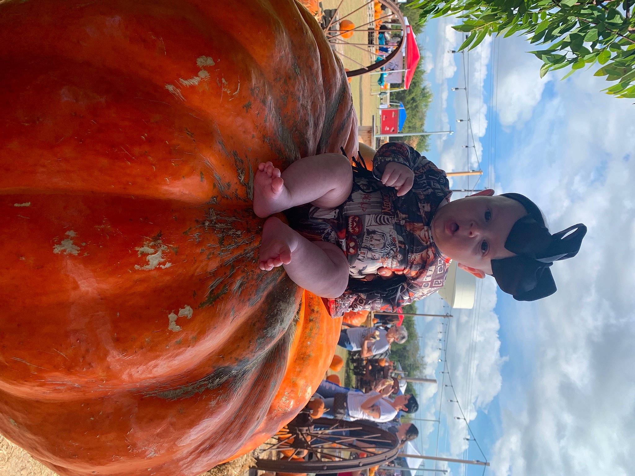 Ella-mae is registered to the contest to win money with this photo: art, calabaza, cloud, cucurbita, event, fun, gourd, hat, headgear, leisure, orange, person, plant, pumpkin, sky, squash, surprise, tradition, tree, vegetable