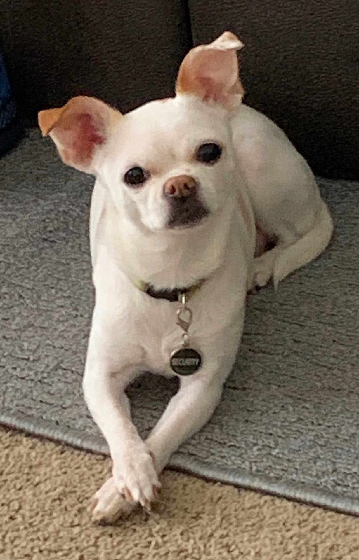 Myla