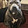 Tyson