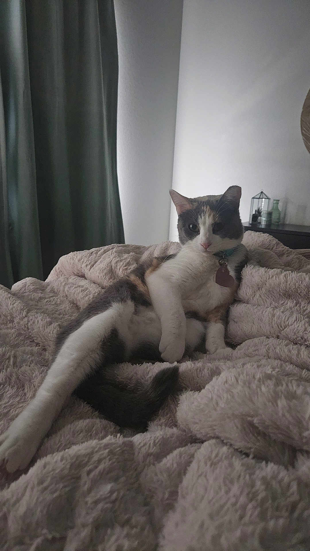 Nala