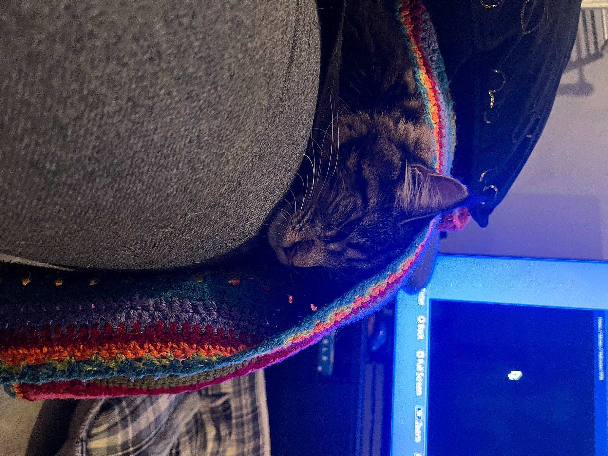 Calypso joined the competition — help win amazing prizes! auto_part, automotive_lighting, automotive_tire, blue, carmine, ceiling, elbow, electric_blue, event, fashion_accessory, fun, hat, magenta, pattern, thread