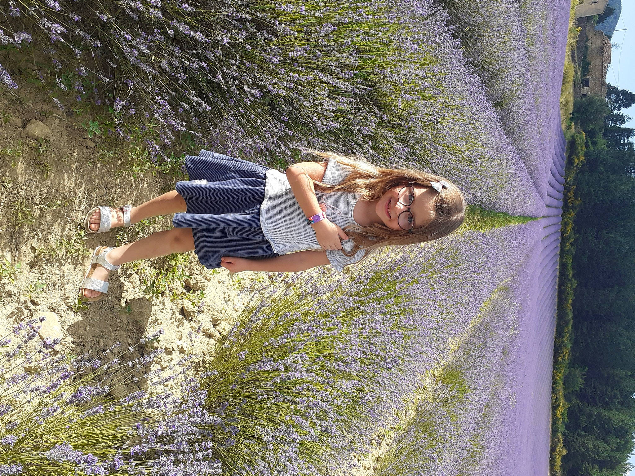 Lanna participe au concours pour gagner de l'argent avec cette photo : agriculture, field, flowering_plant, garden, grass, grass_family, groundcover, hedge, joy, lavender, meadow, people_in_nature, person, shrub, spring, summer, sunlight