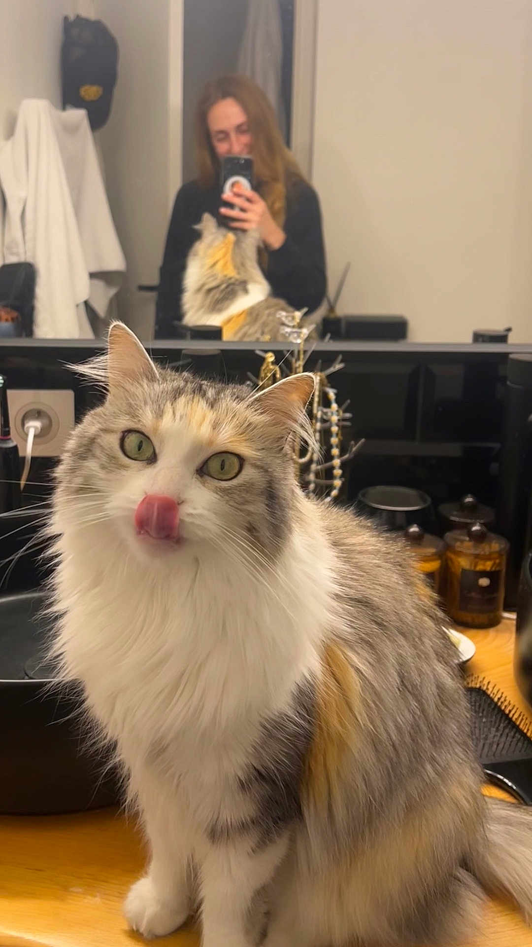 Romy a rejoint le concours — aidez-le/la à gagner de superbes lots ! cat, fluffy, green_eyes, licking_nose, mirror, person, selfie, indoor, wooden_surface, hairbrush, jars, clothing, reflection, furniture, home, cute, pet, domestic_animal, cozy, casual