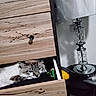 cat, fluffy_cat, drawer, dresser, furniture, home, indoors, portrait, pet, animal, feline, long_hair, blue_eyes, sleeping_area, wood, candleholder, decor, black_surface, cozy, curious