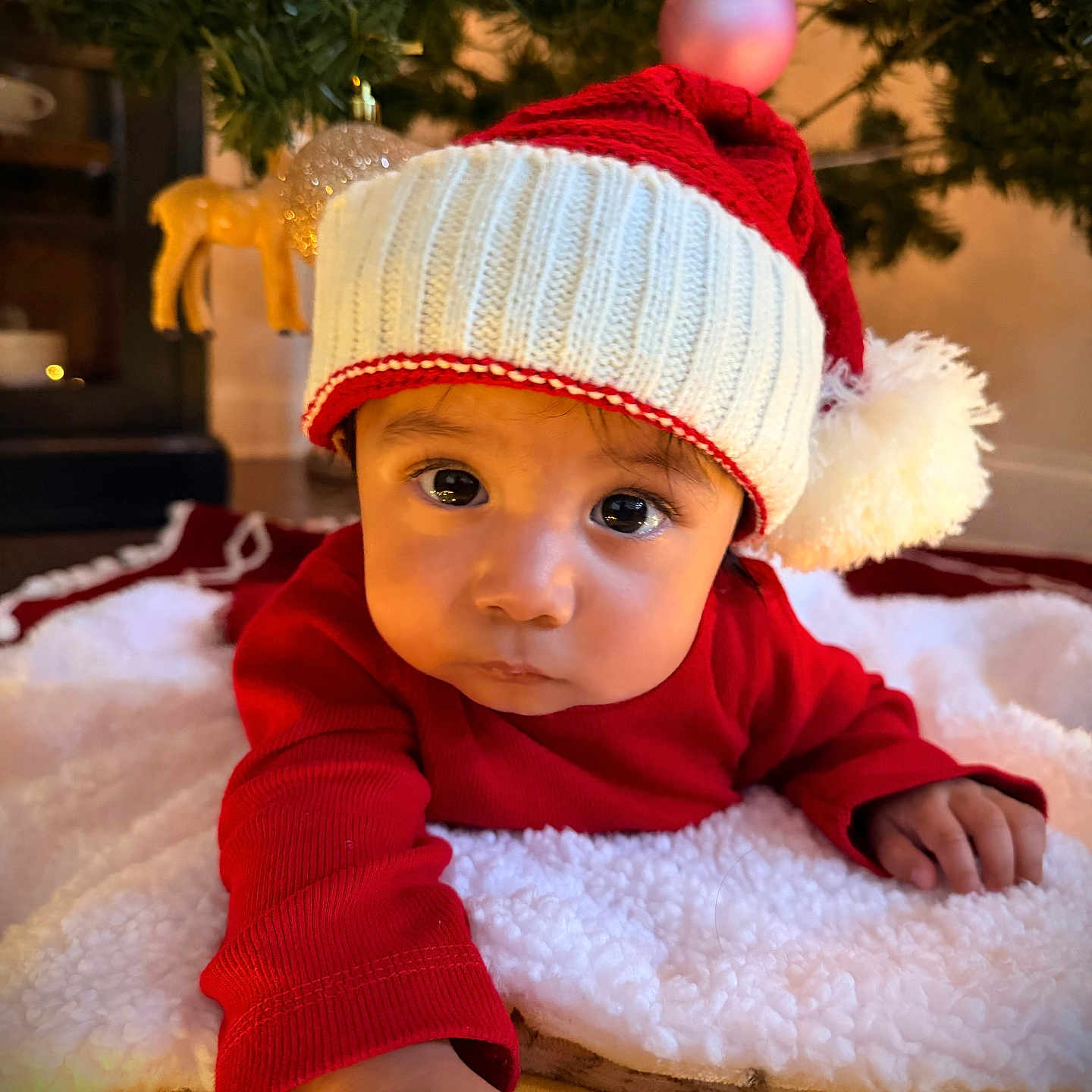 Adriti is registered to the contest to win money with this photo: baby, blanket, child, christmas_tree, cozy, cute, decorations, expression, face, festive, hand, holiday, indoor, ornament, portrait, red_clothing, santa_hat, seasonal, toddler, warm_lighting