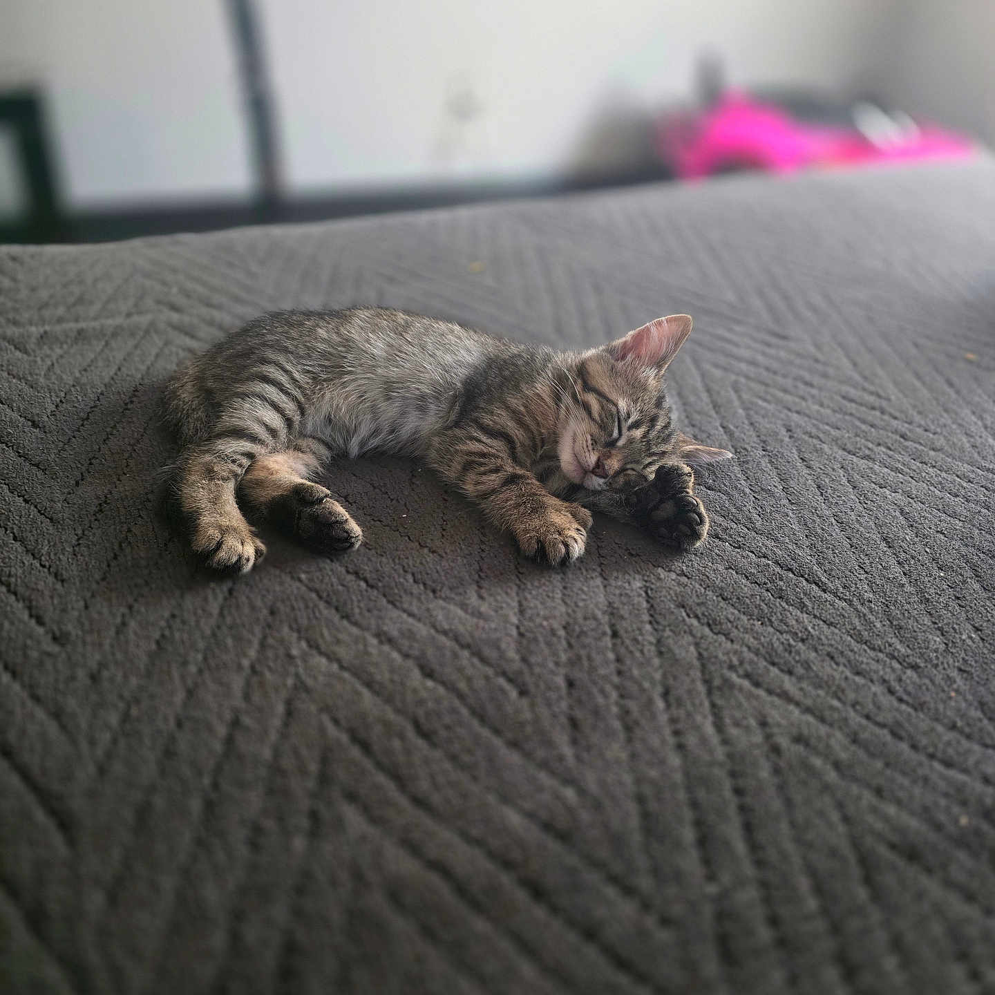 Simon